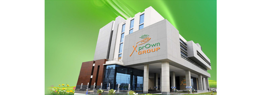 Xprown Facilities | Housekeepin Service