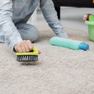 Carpet Cleaning